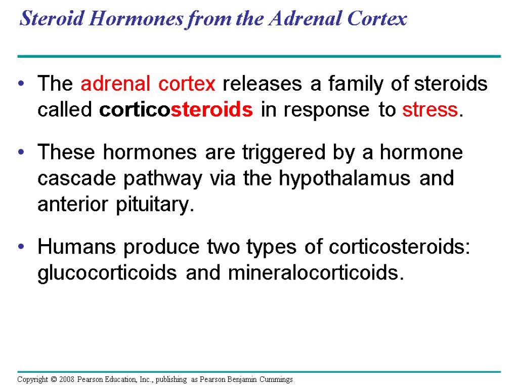 Steroid Hormones from the Adrenal Cortex The adrenal cortex releases a family of steroids